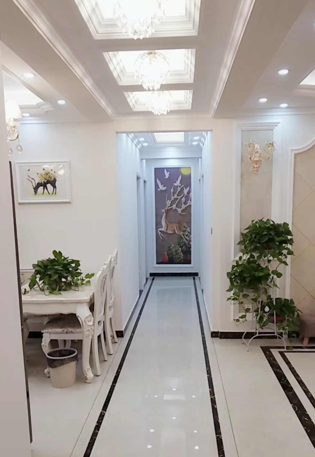 越南窄长房子的实用设计指南