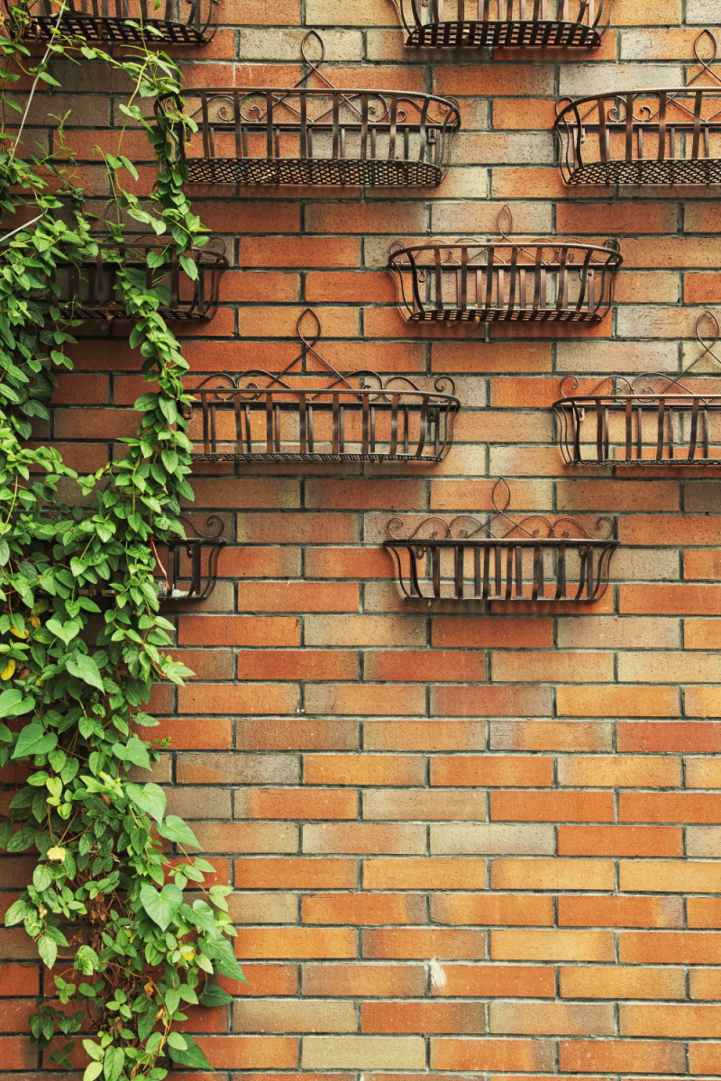 私家花园围墙与围栏设计指南，让户外空间更显魅力