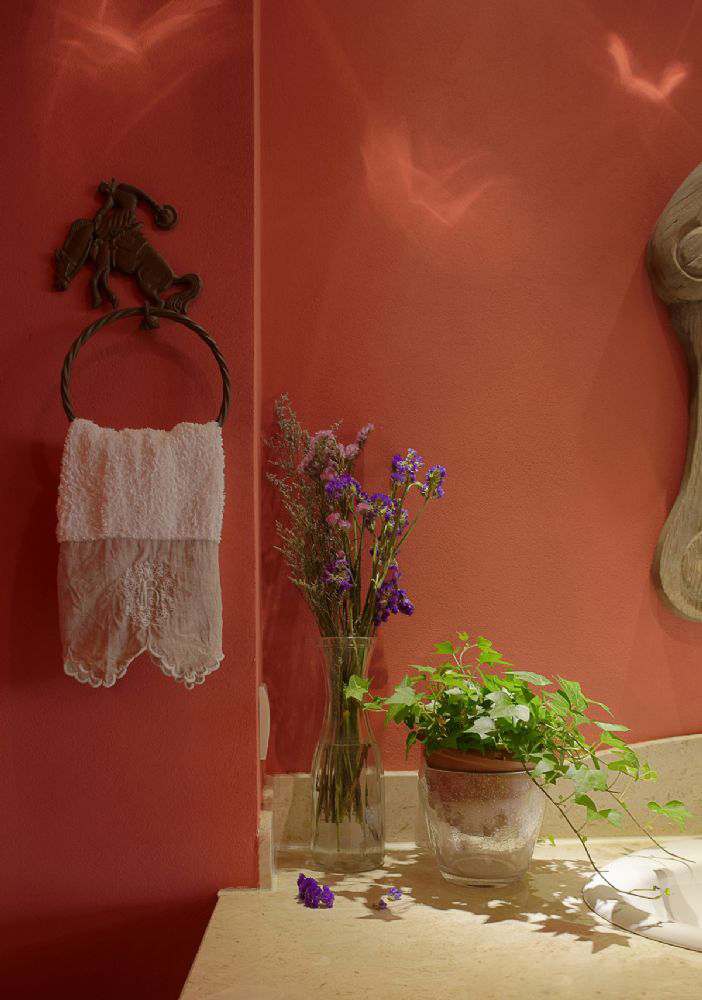 红色瓷砖墙搭配什么颜色毛巾架更显美感？