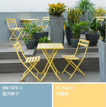 花盆装饰技巧，让庭院更好看